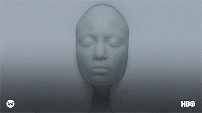 5.gif