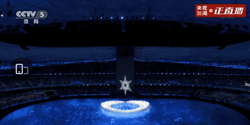 6.gif