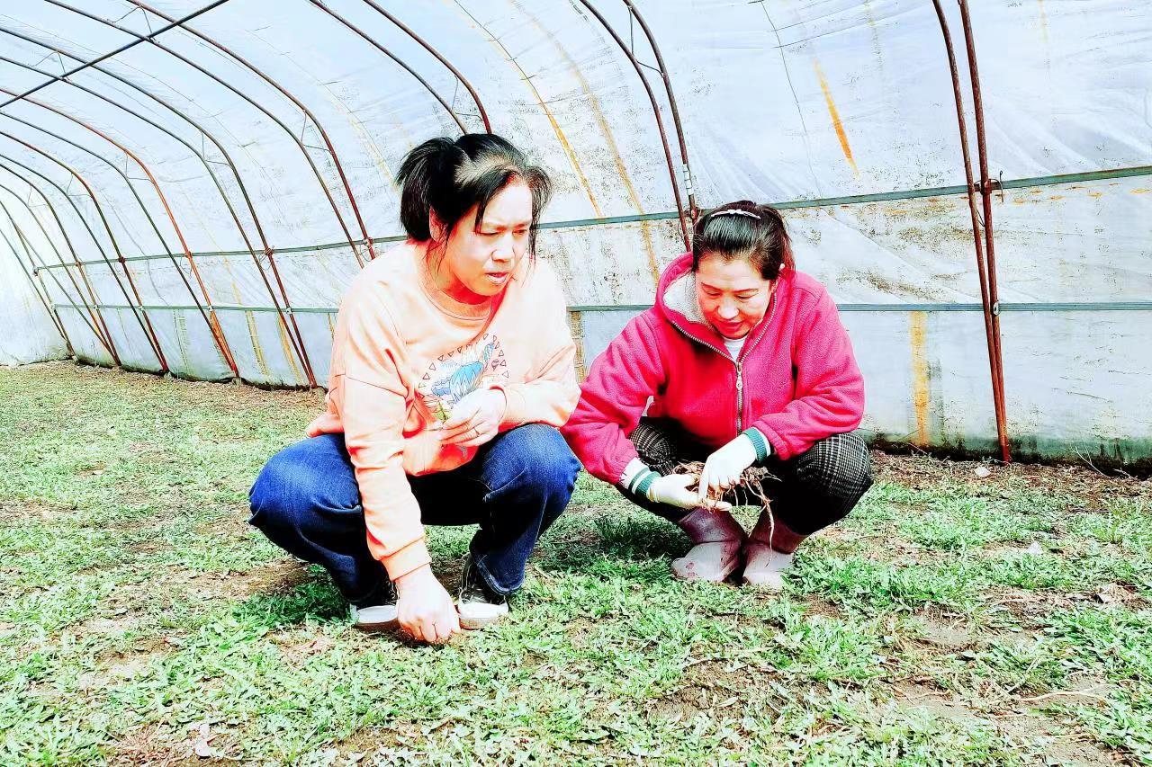 延4.jpg