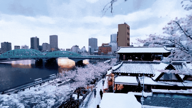 640 (1).gif